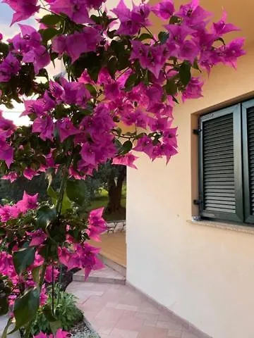 Charming Villa Rab Rab Town Croatia